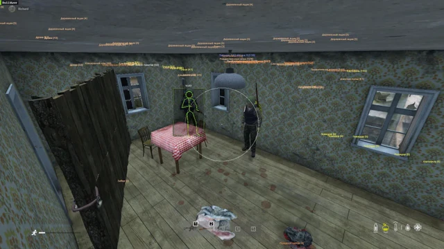 DayZ player ESP and wallhack setup — DayZ cheat gameplay screenshot