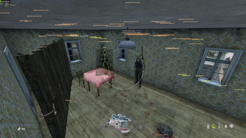 DayZ player ESP and wallhack setup — DayZ cheat gameplay screenshot